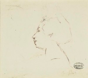 Profile D'Une Femme